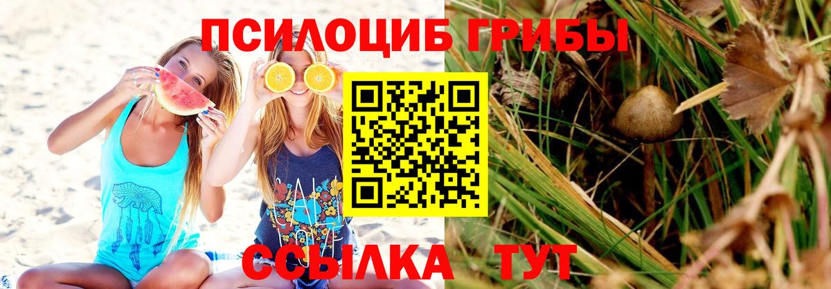 Южно-Сахалинск  Галлюциногенные грибы Psilocybe  как найти   Вход с VPN 